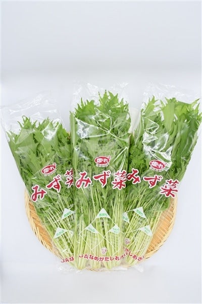 茨城県産　みず菜　150g×20袋