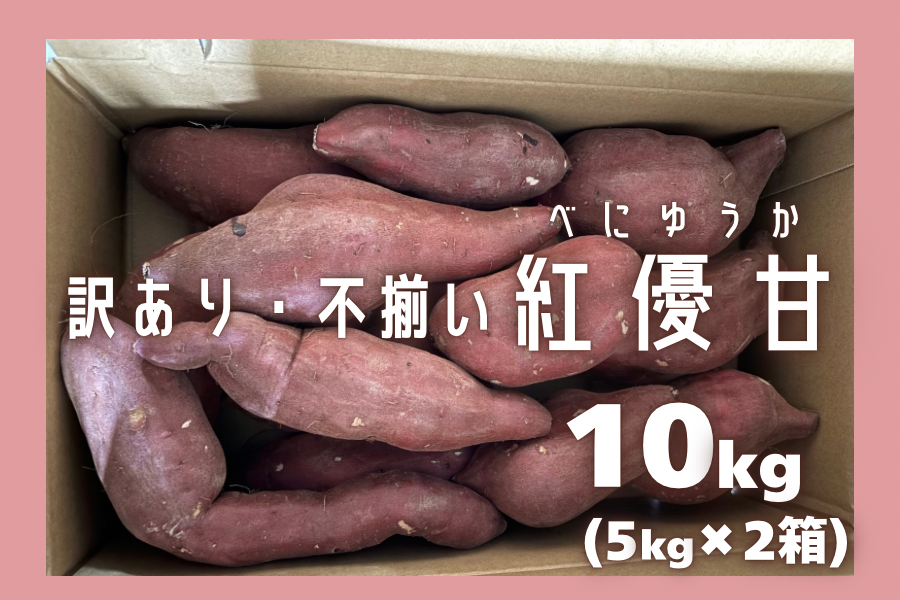 訳あり・不揃い】茨城県産『紅優甘（べにゆうか）』約10kg（C品）JA