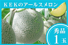 錧Y KEK̃A[X Gi3L×1ʁy9{菇z