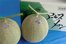 jdj̃A[X Gi2ʓ y9{菇z