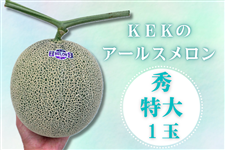 錧Y KEK̃A[XʁI GTCY×1ʁy9{菇z