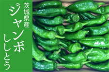 ő傫ƂI錧YuW{Ƃv