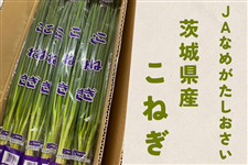 �����ɍʂ������閜�\�H�ށI��錧�Y�w���˂��xJA�Ȃ߂�����������