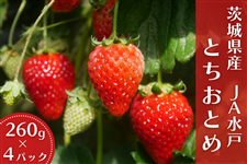 錧Y wƂƂ߁x JAˁi260g×4pkjy1226`28z