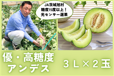 x15xȏI錧YAfX 3L×2ʓ JA鈮 y5{菇z