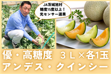 x15xȏI錧YAfXENCV[Zbg 3L×e1ʓ JA鈮 y5{菇z