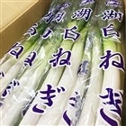 Âď_炩I˂ 錧YwΔ˂x