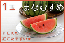 錧Y KEK̍g܂u܂Ȃނ߁v1ʓ y5{菇z