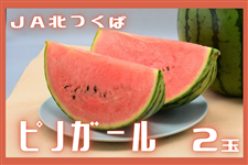 錧Y JAk ܂ usmK[vLE2ʓ y5{菇z