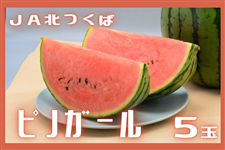 錧Y JAk ܂ usmK[vLE5ʓ y5{菇z