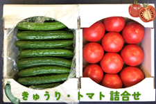 KEK̖BOXI錧YuイEg}gvl
