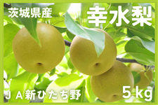 錧Y K 5kg JAVЂy8{菇z