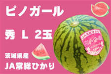 錧Y JA푍Ђ ܂ usmK[vGELE2ʓ y6{菇z