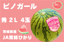 錧Y JA푍Ђ ܂ usmK[vGEQLESʓ y6{菇z