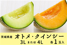 ����錧�Y�I�g���������E�N�C���V�[�Z�b�g 3L�܂���4L×�e1�ʓ��i�G�E�D�j�y4��17������菇�������z