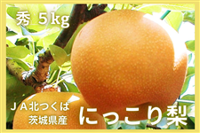 錧Y ɂ藜 GED 5kgi8`14ʓjy9{珇z