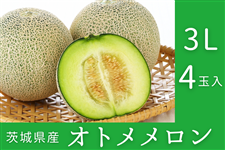 ����錧�Y�I�g�������� 3L×4�ʓ��i�G�E�D�j�y4�����{����菇�������z