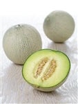 CoLO 5L×2ʓy5{菇zVbvC`I