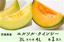 ����錧�Y�G���\���E�N�C���V�[�Z�b�g 3L�܂���4L×�e1�ʓ��i�G�E�D�j�y5�����{����菇�������z