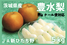 錧Y L 5kg JAVЂyN[ցE8{菇z