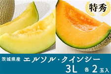 ����錧�Y�G���\���E�N�C���V�[�Z�b�g 3L×�e2�ʓ��i���G�j�y6����{����菇�������z