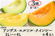 ����錧�Y�A���f�X�E�G���\���E�N�C���V�[�Z�b�g 3L�܂���4L×�v4�ʓ��i3��@�G�E�D�j�y5�����{����菇�������z