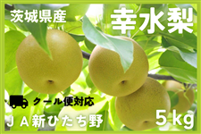 錧Y K 5kg JAVЂyN[ցE8{菇z