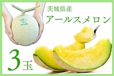 ◎茨城県産 JA茨城旭村 アールスメロン3玉セット【7月下旬頃より順次