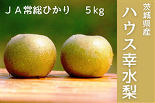 錧YnEXK 5kg JA푍Ђ y7{菇z