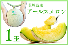 錧Y JA鈮 A[X 3L܂4L 1ʓy8{菇z