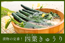 Е̒ԁI錧Yultイv