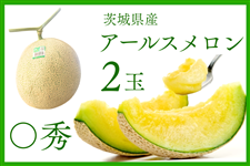 ����錧�Y JA��鈮�� �A�[���X������ �Z�G 2�ʃZ�b�g�y7�����{����菇�������z