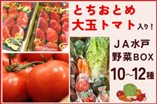 �Ƃ����Ƃ߁E��ʃg�}�g����I�Y�n�ɂ��܂������y���ݖ��BOX �y3��17�`19���������z