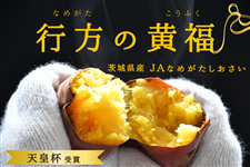 幸福感たっぷりの甘さ！茨城県産『行方の黄福（こうふく）』（品種：栗