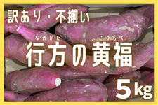 さつまいも・干し芋|【JAタウン】産地直送 通販 お取り寄せ