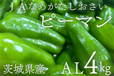 錧Y s[} ALE4kgiJAȂ߂j_炩ꖡȂI