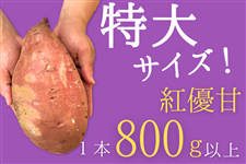 y2Zbgz錧Y gD(ׂɂ䂤)  1{800gȏ̒TCYIVՂɍœK