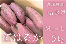 錧Ywg͂邩xM܂L 5kgi12`18{j JA y12{菇z