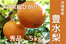 ����錧�Y �L�����E�G�i 5kg JA�푍�Ђ���y8�����{����菇�������z