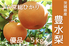 ����錧�Y �L�����E�D�i 5kg JA�푍�Ђ���y8�����{����菇�������z