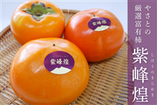 錧Y ₳Ƃ̌IxL`@iق̂߂jy11{菇\z