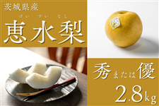 錧Y bEG܂͗D 2.8kgi5`7ʁjy9{菇z