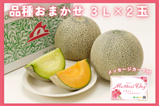 y̓z錧Y JA鈮 i킨܂I߃ 3LTCY×2ʃZbg