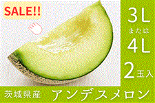 ����錧�Y�A���f�X������ 3L�܂���4L×2�ʓ��i�G�E�D�j�y4�����{����菇�������z