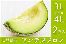 ����錧�Y�A���f�X������ 3L�܂���4L×2�ʓ��i�G�E�D�j�y4�����{����菇�������z