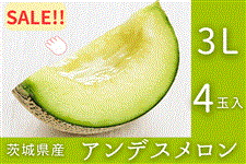 ����錧�Y�A���f�X������ 3L×4�ʓ��i�G�E�D�j �y4�����{����菇�������z