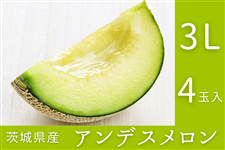 ����錧�Y�A���f�X������ 3L×4�ʓ��i�G�E�D�j �y4�����{����菇�������z