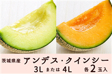 ����錧�Y�A���f�X�E�N�C���V�[�Z�b�g 3L�܂���4L×�e2�ʓ��i�G�E�D�j�y5����{����菇�������z	