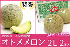 �y��̓��z��錧�Y�I�g���������E���G2L×2�ʃZ�b�g�iJA��鈮���j��5/8(��)�o�ח\��