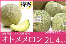 �y��̓��z��錧�Y�I�g���������E���G2L×4�ʃZ�b�g�iJA��鈮���j��5/8(��)�o�ח\��